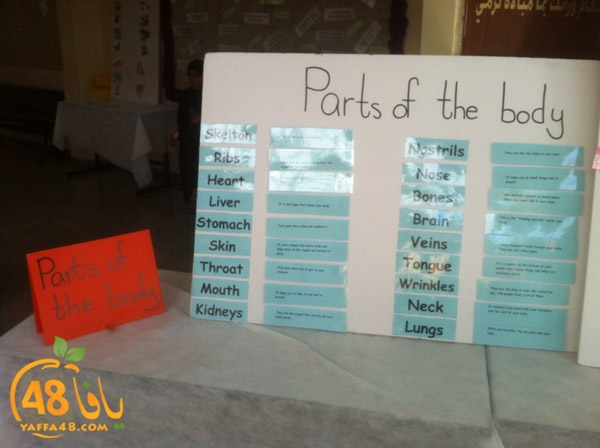 loga english3j (10).jpg